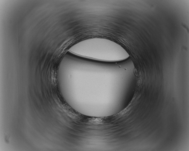 X0000103480140200809120936