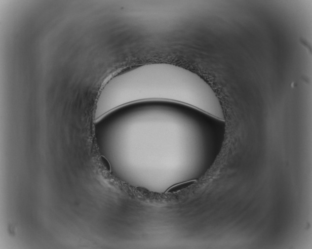 X0000103480144200809120936