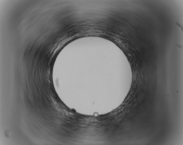 X0000103480146200809120936