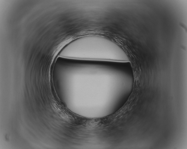 X0000103480148200809120936