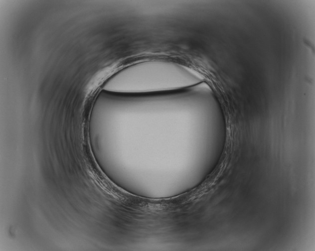 X0000103480149200809120936