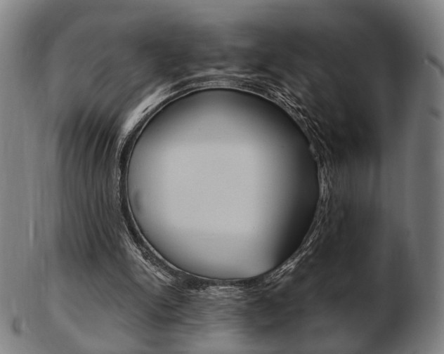X0000103480150200809120936