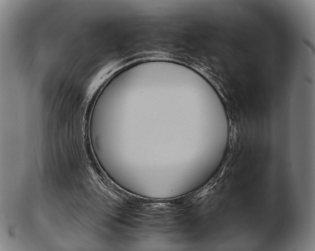 X0000103480151200809120936