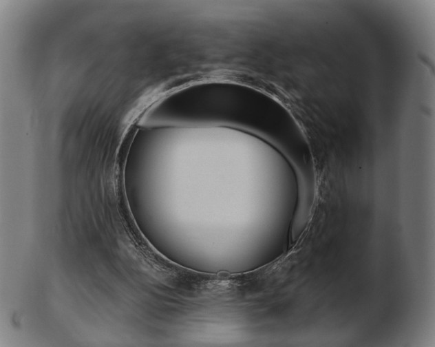 X0000103480152200809120936