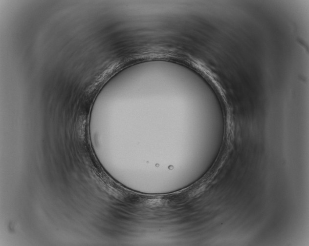 X0000103480153200809120936
