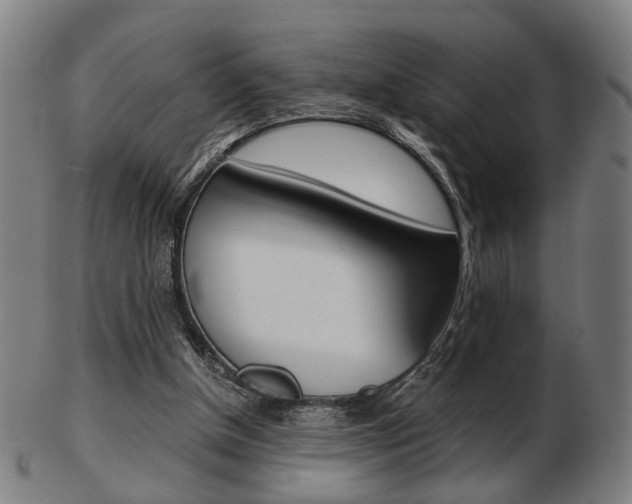 X0000103480154200809120936