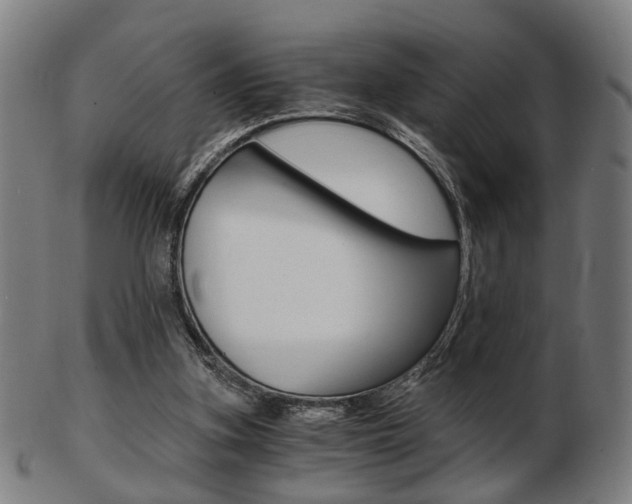 X0000103480155200809120936