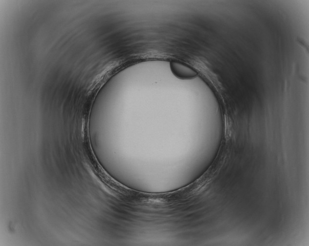 X0000103480157200809120936