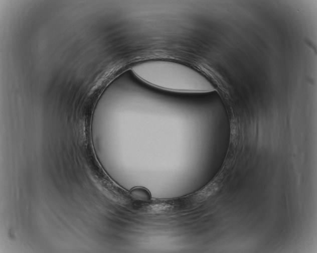 X0000103480158200809120936