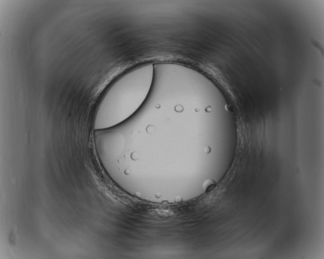 X0000103480159200809120936
