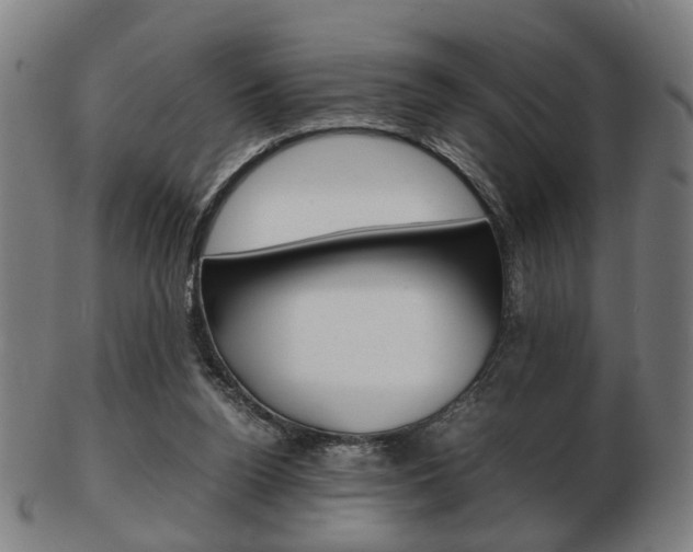 X0000103480160200809120936
