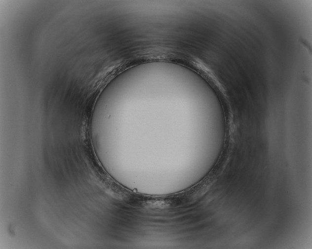 X0000103480161200809120936