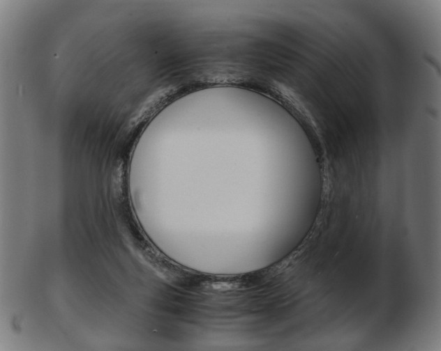 X0000103480163200809120936