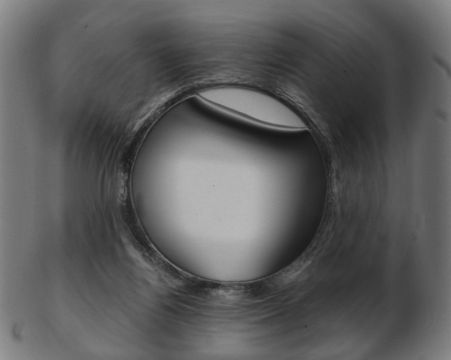 X0000103480164200809120936