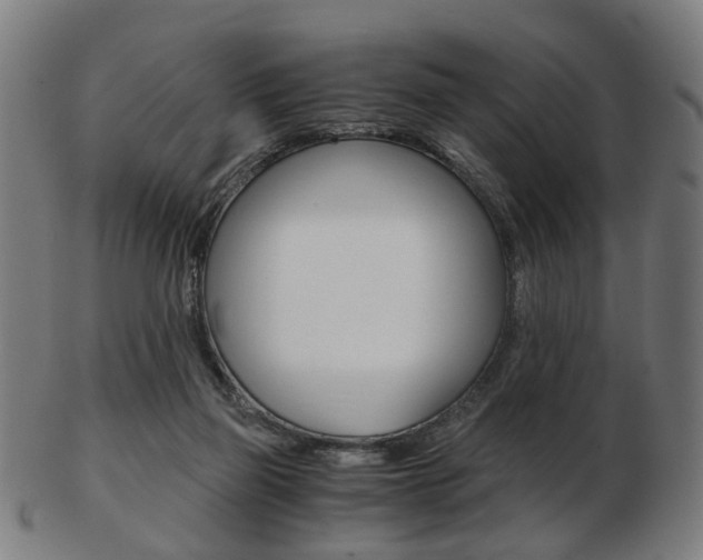 X0000103480165200809120936