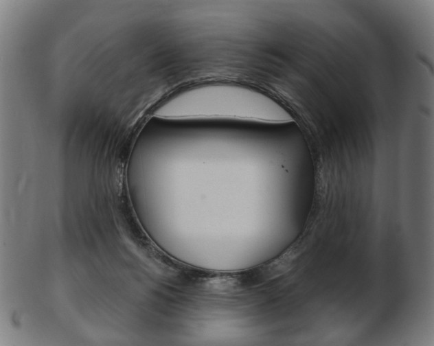 X0000103480168200809120936