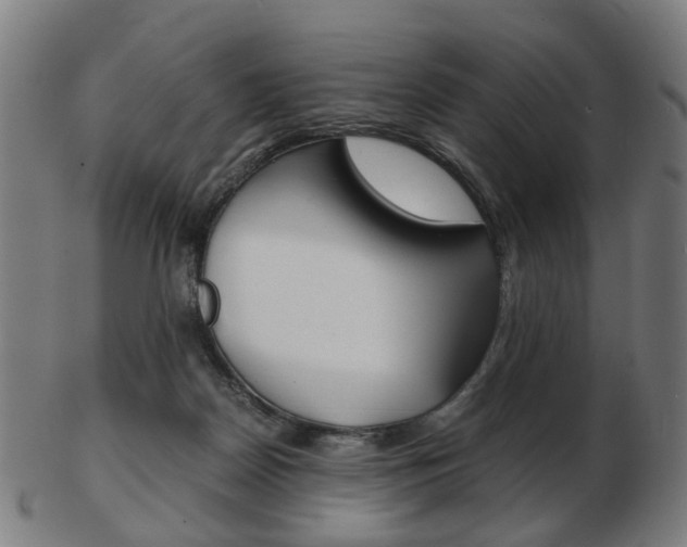 X0000103480170200809120936
