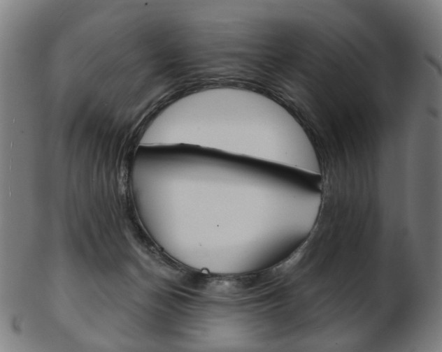 X0000103480174200809120936