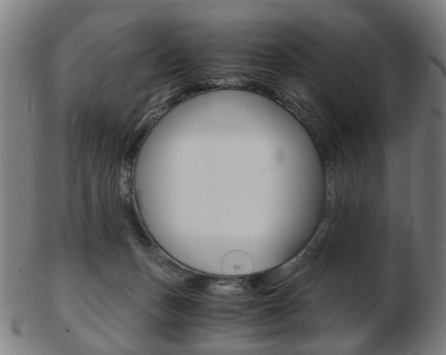 X0000103480175200809120936