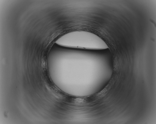 X0000103480176200809120936
