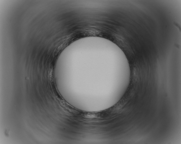 X0000103480177200809120936
