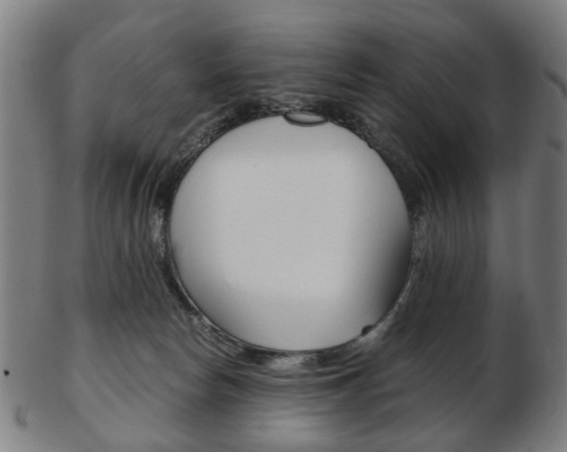 X0000103480178200809120936