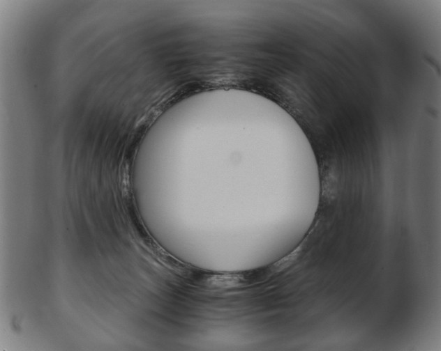 X0000103480179200809120936