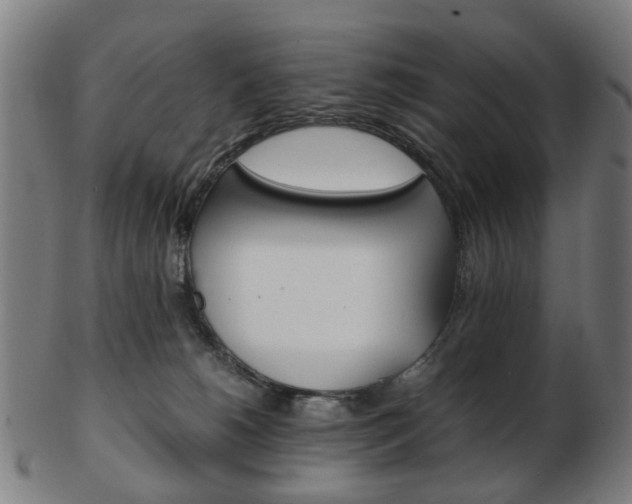X0000103480180200809120936