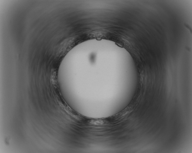 X0000103480181200809120936