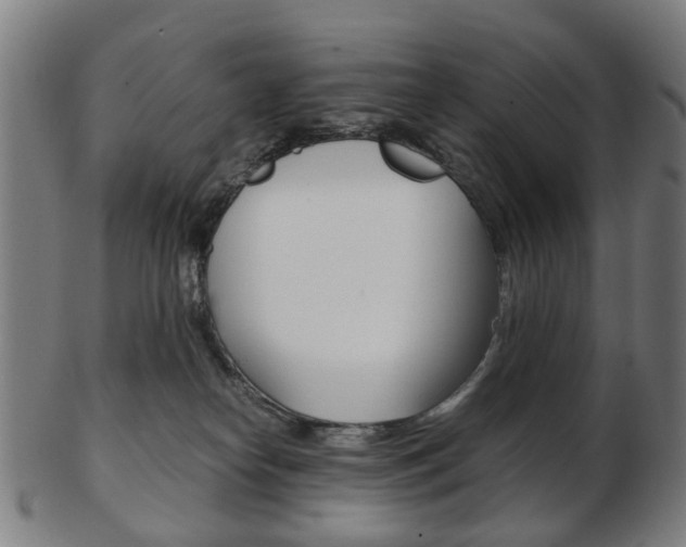 X0000103480182200809120936