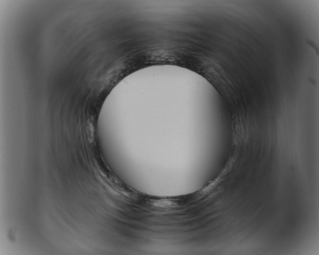 X0000103480183200809120936