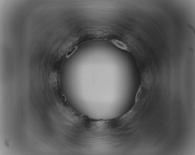 X0000103480184200809120936