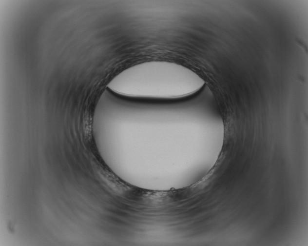 X0000103480186200809120936