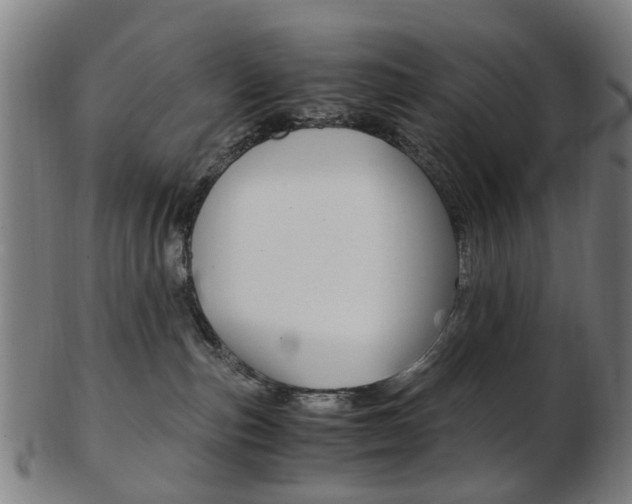 X0000103480187200809120936