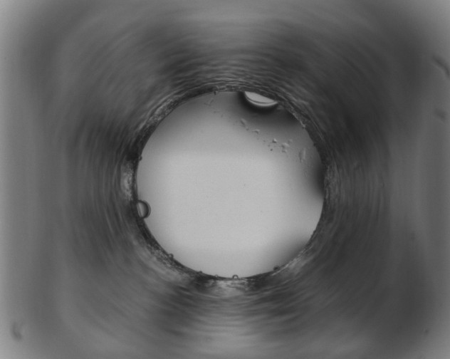 X0000103480188200809120936