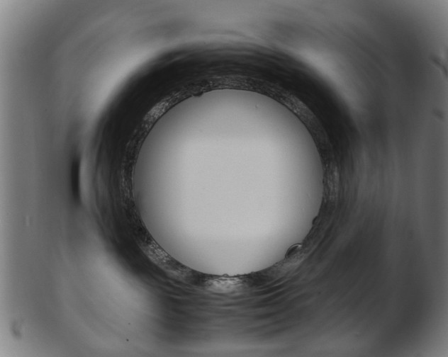 X0000103480189200809120936
