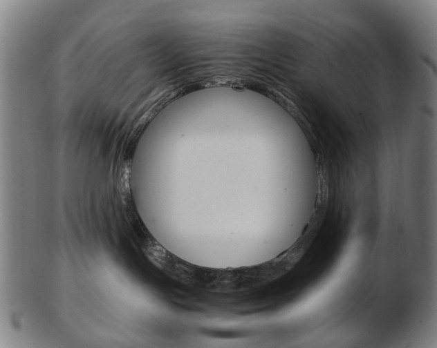 X0000103480191200809120936