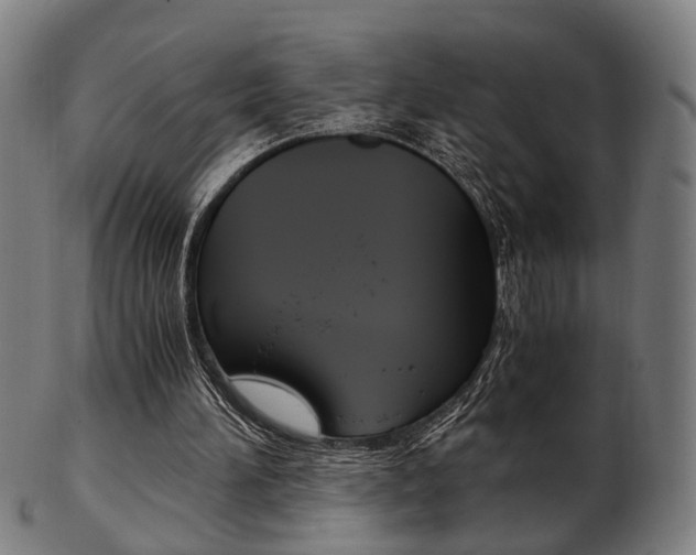 X0000103480196200809120936
