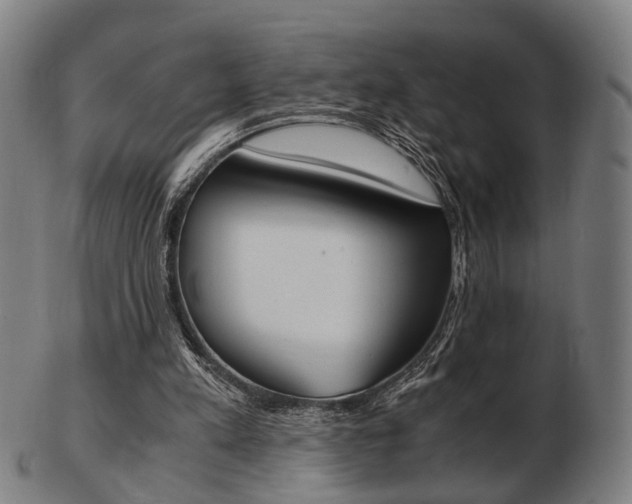 X0000103480197200809120936
