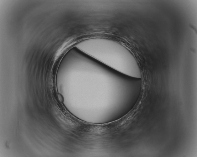 X0000103480198200809120936