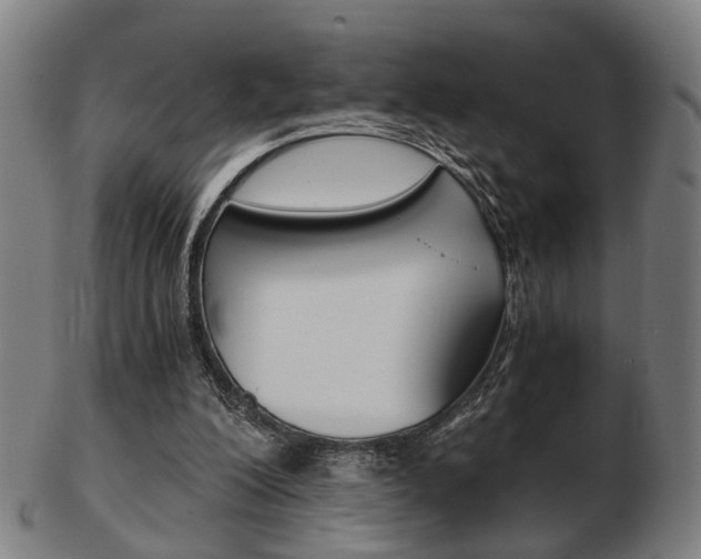X0000103480200200809120935