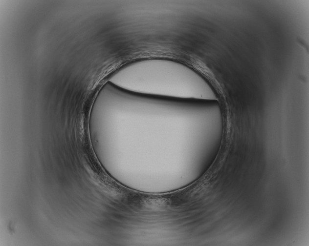 X0000103480202200809120935