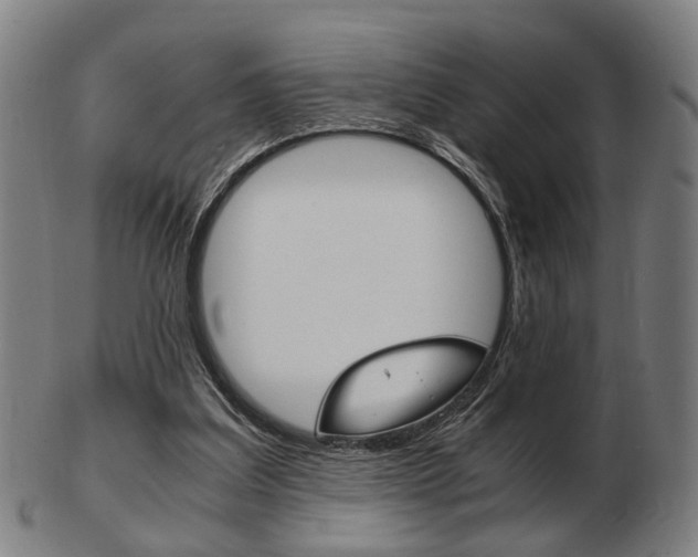 X0000103480203200809120935