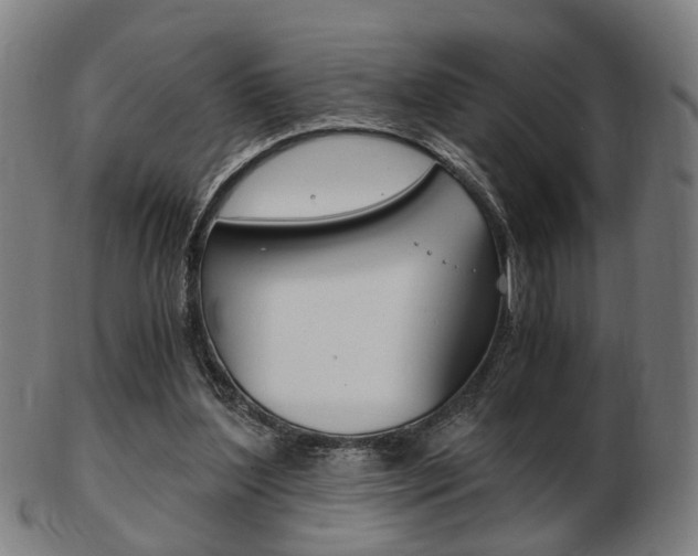 X0000103480204200809120935