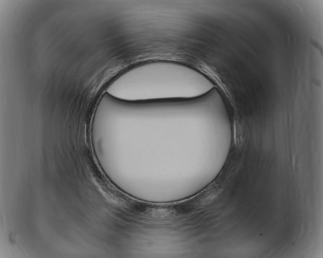 X0000103480205200809120935