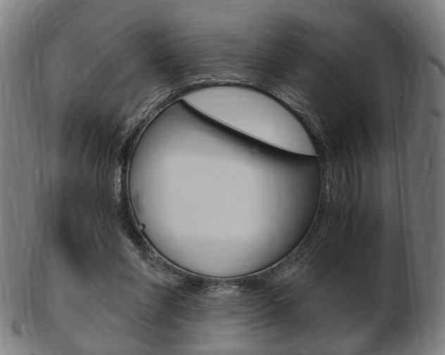 X0000103480206200809120935