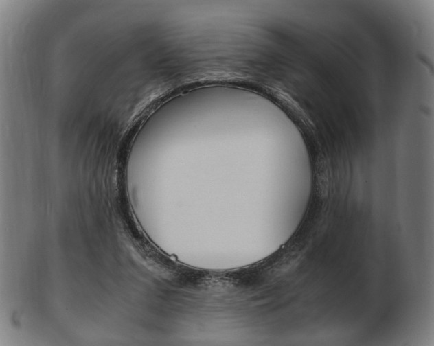 X0000103480207200809120935