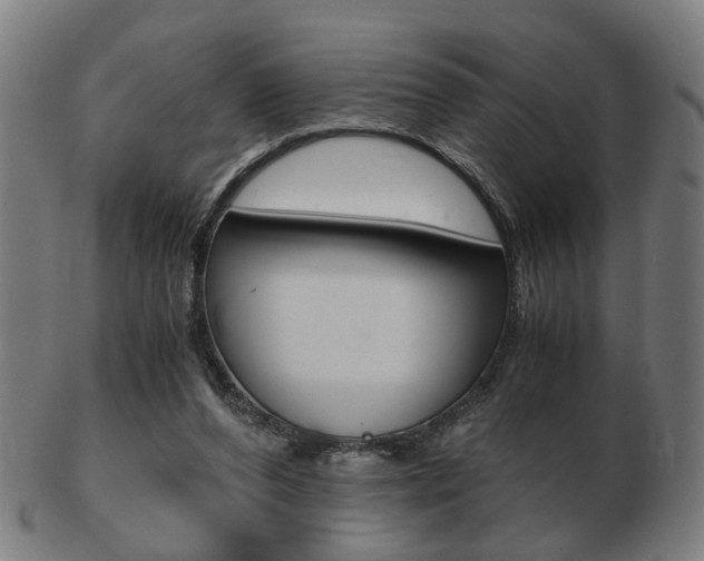 X0000103480208200809120935