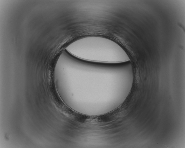 X0000103480211200809120935