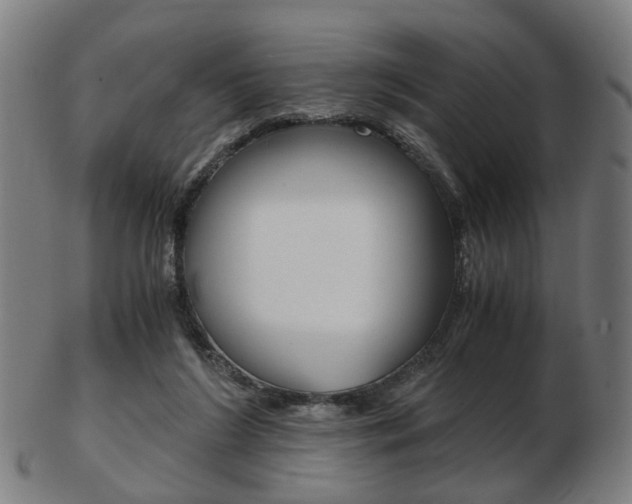 X0000103480212200809120935